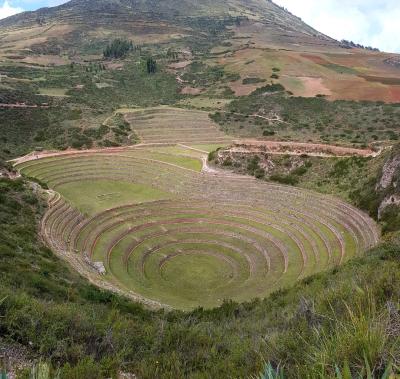Moray